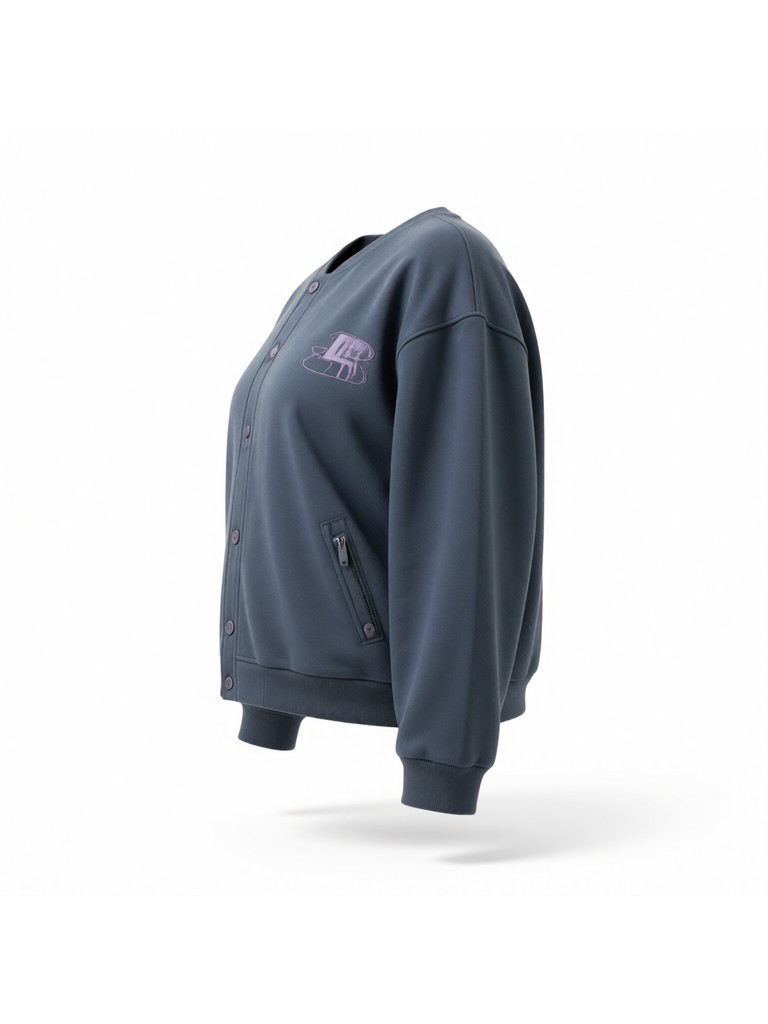 BSR-SWS-067-2