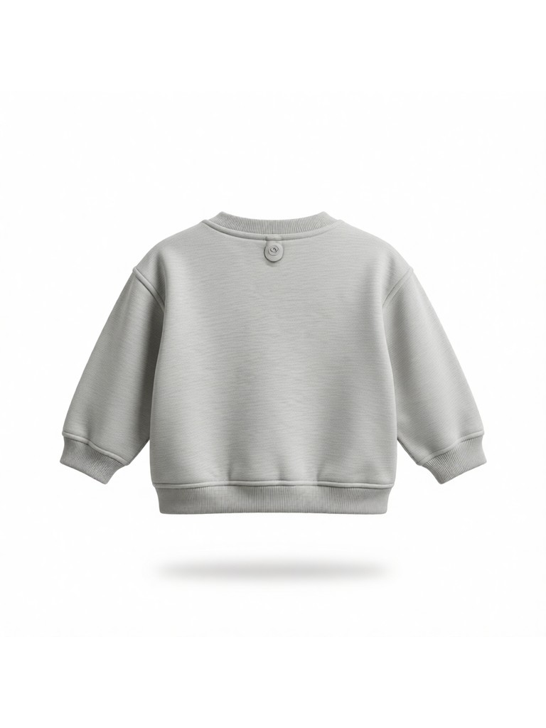 SI008-3